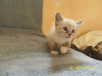 /album/galeria-ares/sam-2308-1000-x-750-jpg/